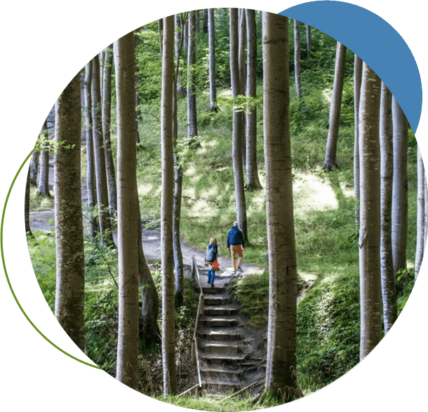 A person walking up steps in the woods